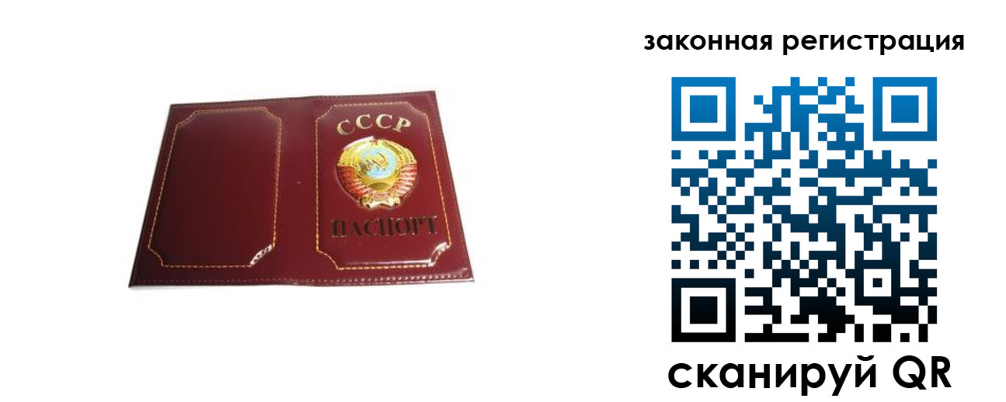 прописка поиск в Зеленогорске